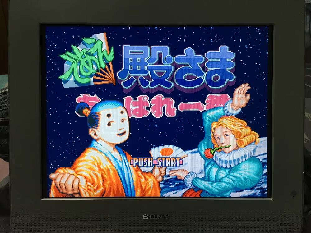16bits game cards : 84 IN 1 ca - Japanese For Lifestyle avis et prix